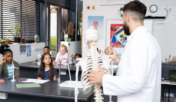 不同的男教师和小学生在生物课上学习骨骼 包容性 小学教育和学习概念 — 图库照片