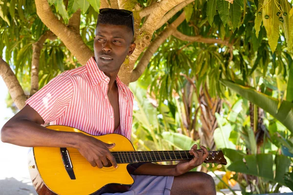 stock image Biracial man playing guitar sitting under the shade of tree on sunny beach. Music, relaxation, lifestyle, summer and vacation, unaltered.