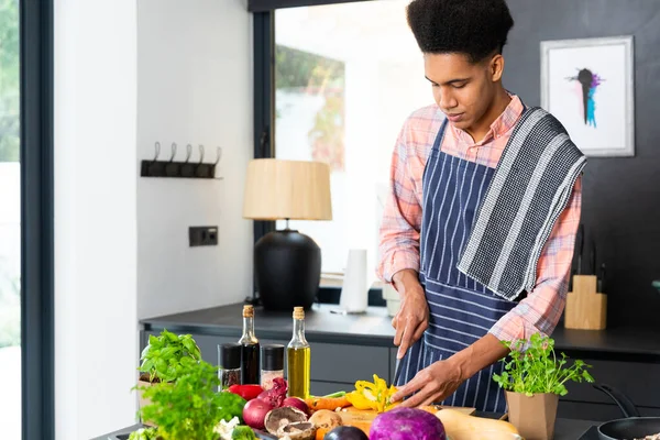 Happy Biracial Man Wearing Apron Preparing Meal Chopping Vegetables Sunny — Stock Photo, Image