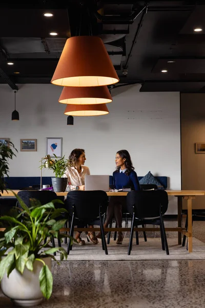 stock image Diverse female colleagues in discussion using laptop in casual office meeting. Casual office, teamwork, business, lifestyle, communication and work, unaltered.