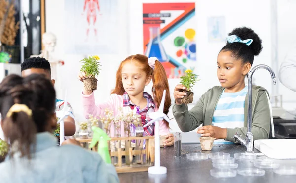 学校のエコロジークラスで植物を保持する多様な小学生 コミュニティ 小学校 学習コンセプト — ストック写真