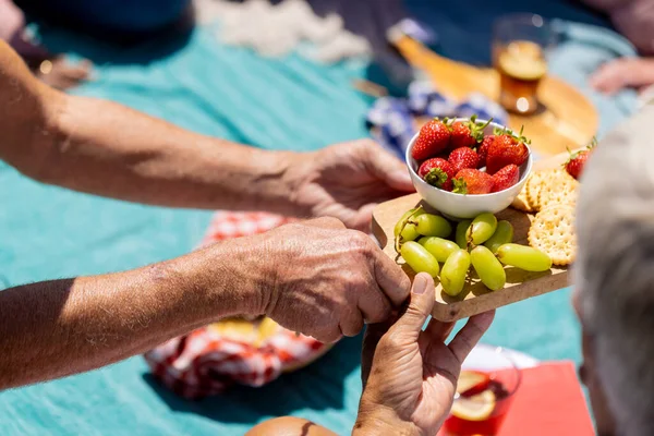 Battaniyeye Oturup Bahçede Piknik Yapan Ihtiyarların Ellerini Kapatın Kıdemli Yaşam — Stok fotoğraf