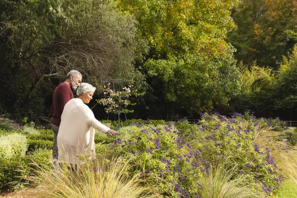 快乐的老夫妇手牵着手 在花园里触摸花朵 复制空间 老年生活方式 自然和家庭生活 — 图库照片#