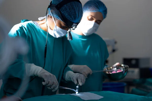 Diverse surgeons wearing surgical gowns operating on patient in operating theatre at hospital. Hospital, surgery, hygiene, teamwork, medicine, healthcare and work, unaltered.