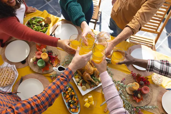 Gelukkige Gevarieerde Mannelijke Vrouwelijke Vrienden Toasten Tijdens Dankzegging Feestmaaltijd Zonnige — Stockfoto