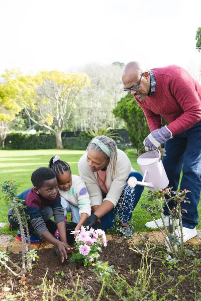 Happy african american grandparents and grandchildren watering plants in sunny garden. Family, togetherness, nature, gardening and lifestyle, unaltered.