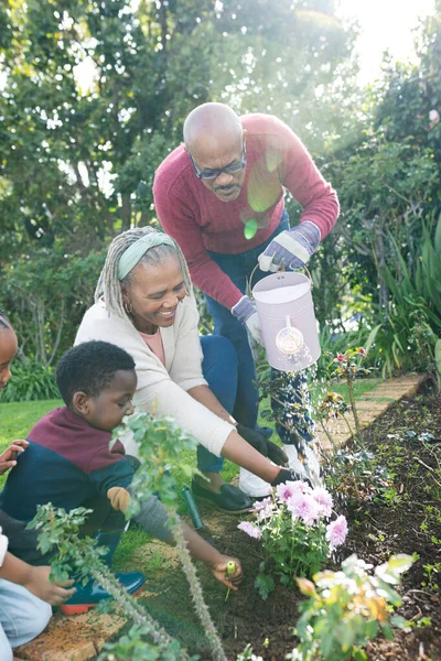 Happy African American Grandparents Grandchildren Watering Plants Sunny Garden Family — Stock Photo, Image