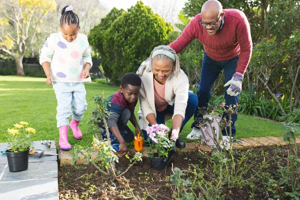 Happy african american grandparents and grandchildren planting plants in sunny garden. Family, togetherness, nature, gardening and lifestyle, unaltered.