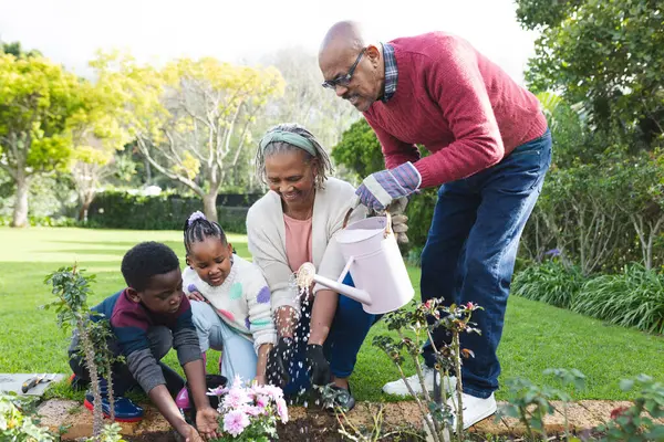 Happy african american grandparents and grandchildren watering plants in sunny garden. Family, togetherness, nature, gardening and lifestyle, unaltered.