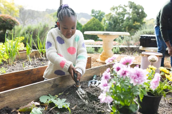 Happy african american grandfather and granddaughter planting plants in sunny garden. Family, togetherness, nature, gardening and lifestyle, unaltered.