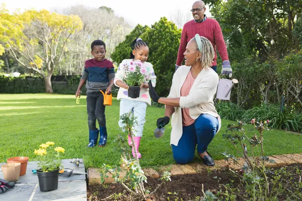 Happy african american grandparents and grandchildren planting plants in sunny garden. Family, togetherness, nature, gardening and lifestyle, unaltered.