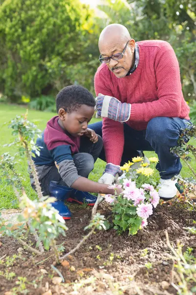 Happy african american grandfather and grandson taking care of plants in sunny garden. Family, togetherness, nature, gardening and lifestyle, unaltered.