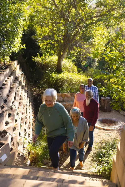 Happy diverse group of senior friends walking up stairs in sunny garden. Retirement, friendship, wellbeing, togetherness and senior lifestyle, unaltered.