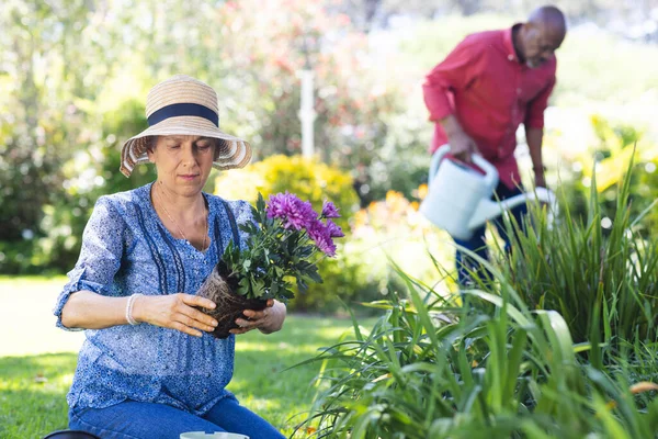 Diverse senior couple gardening in sunny garden. Lifestyle, retirement, senior lifestyle, nature, gardening, togetherness and domestic life, unaltered.