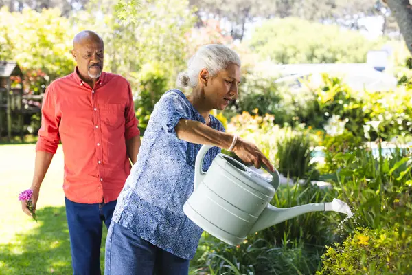 Diverse senior couple gardening in sunny garden. Lifestyle, retirement, senior lifestyle, nature, gardening, togetherness and domestic life, unaltered.