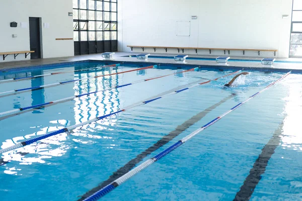 A swimmer practices in an indoor pool at a sports facility. The lanes are clearly marked for competitive training or leisure swimming.