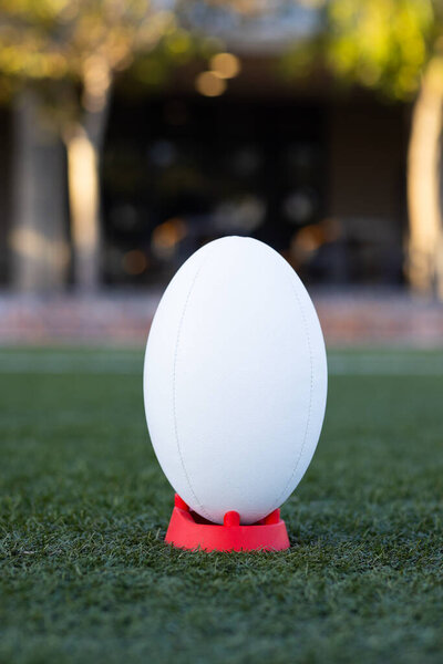 Rugby Ball Standing Red Tee Green Grass Field Outdoors Copy Stock Photo