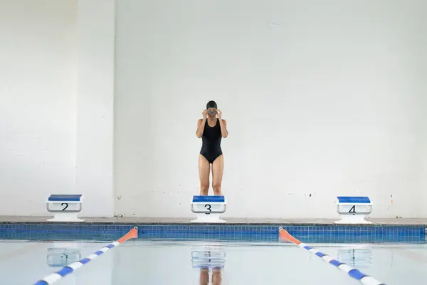 Biracial Young Female Swimmer Black Swimsuit Preparing Dive Indoors She — Stock Photo, Image