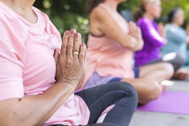 Outdoors, diverse senior female friends practicing yoga. Wearing casual fitness clothes, focusing on poses, enjoying serene moment together.  clipart