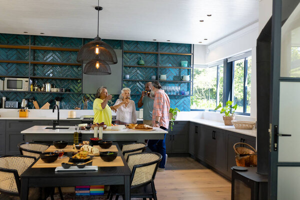 Home Group Senior Friends Toasting Wine Glasses Modern Kitchen Celebration Royalty Free Stock Photos