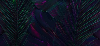 Canlı floresan renklerde tropikal yaprakların yaratıcı düzenlemesi. Doğanın güzelliğinin güzel bir temsili, neon rengi de eklenmiş. Düz arkaplan.