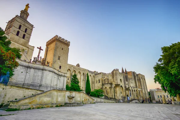Panorama Över Antika Påvepalatset Saint Benezet Avignon Morgonen Provence Frankrike — Stockfoto