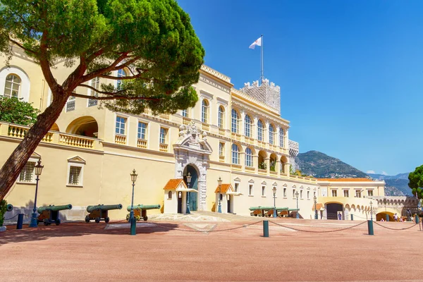 Piękny Widok Pałac Książąt Monako — Zdjęcie stockowe