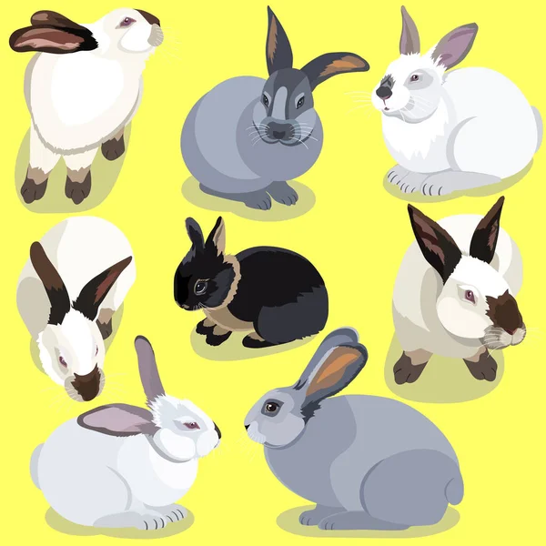 Векторный Набор Милых Кроликов Реалистичном Стиле — стоковый вектор
