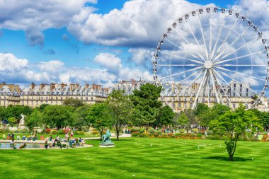 Tuileries Garden and ferris wheel in Paris at a sunny day, France