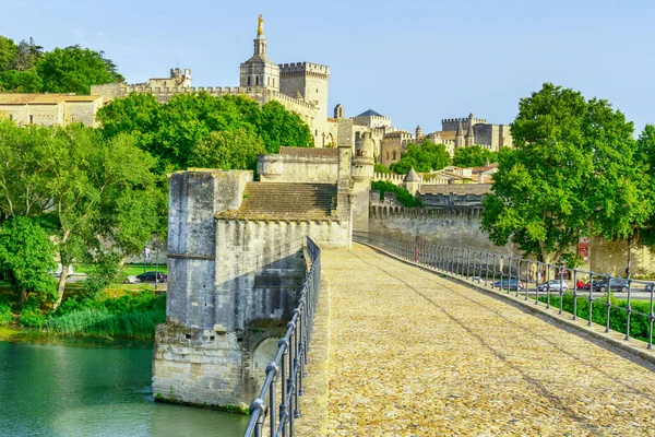 Pont Saint Benezet Pałac Papieski Rzeka Rhone Avignon Prowansja Francja — Zdjęcie stockowe