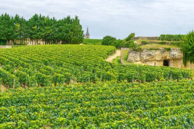 Fransa 'nın Bordeaux bölgesindeki Saint Emilion köyünün üzüm bağları ve şarap mahzenlerinin manzarası
