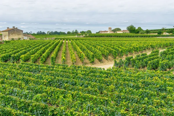 Fransa 'nın Bordeaux bölgesindeki Saint Emilion köyünün üzüm bağları ve şatosunun manzarası