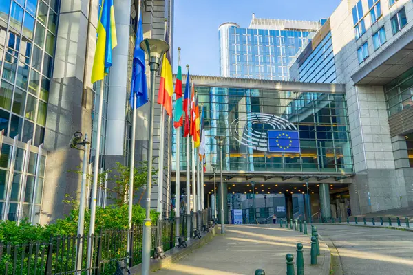 Brüksel, Belçika 'daki Avrupa Parlamentosu binasının önünde bir sıra Avrupa bayrağı