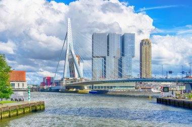 Nieuwe Maas nehri üzerindeki ünlü ErasmusbrugSwan Köprüsü 'nün panoramik manzarası, liman ve şehir, Rotterdam, Hollanda