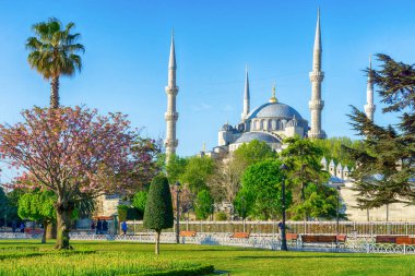 Baharda Mavi Cami veya Sultan Ahmet Camii, İstanbul, Türkiye
