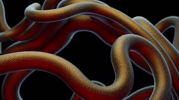 Background Snakes Abstract Animation — Stockvideo