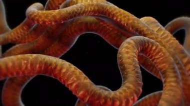 Background with alien microscopic worms, abstract 3d animation