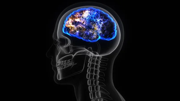 Rendering Human Head Skull Brain Electrical Activity — стоковое фото