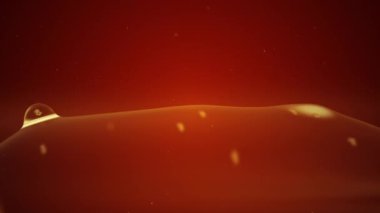 Protein naklinin 3D animasyonu - vesicle tomurcuklanması. Hücre ve moleküler biyoloji