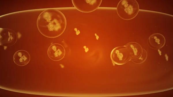 3D蛋白质转运的说明 水泡萌芽 细胞和分子生物学 — 图库照片