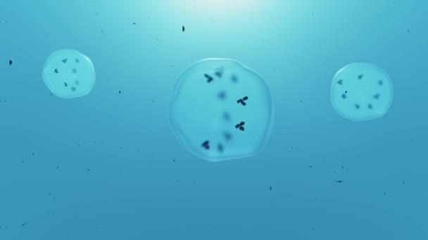 セルリシス 3Dアニメーション 細胞の膜を破壊する — ストック動画