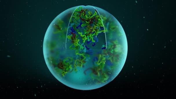 Animace Ukazující Jak Jsou Molekuly Dna Jádře Buňky Nacpány Chromozomů — Stock video
