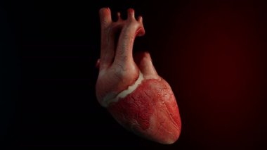 insan kalbinin 3D animasyon