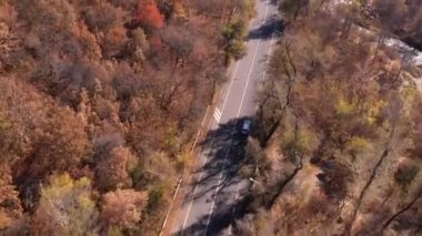 Araba sonbahar ormanı yolu boyunca gidiyor. Nakliye aracındaki dronun üst görüntüsü. Sarı-turuncu yapraklı uzun ağaçlar büyür. Bazı yerlerde evler var, nehir akıyor. Uzakta dağlar