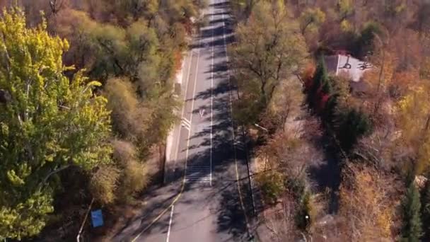 Vista Dal Drone Sulla Strada Autunnale Ombre Dagli Alberi Luoghi — Video Stock