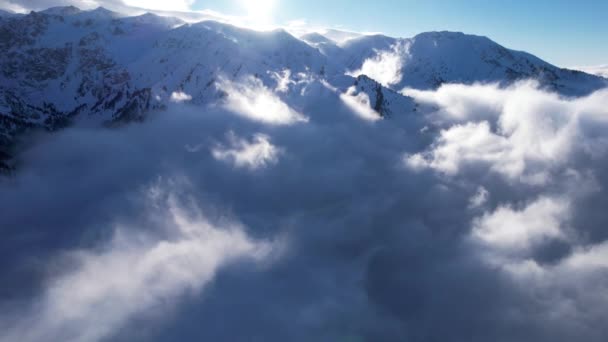 在群山的云海中飞翔 雾就像大海的巨浪冲击着被雪覆盖的高山 云杉生长在一些地方 山顶的阴影落在云彩上 — 图库视频影像