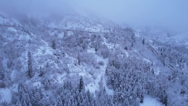Kolejka Linowa Górach Zimowym Lesie Kabiny Poruszają Się Wzdłuż Drogi — Wideo stockowe