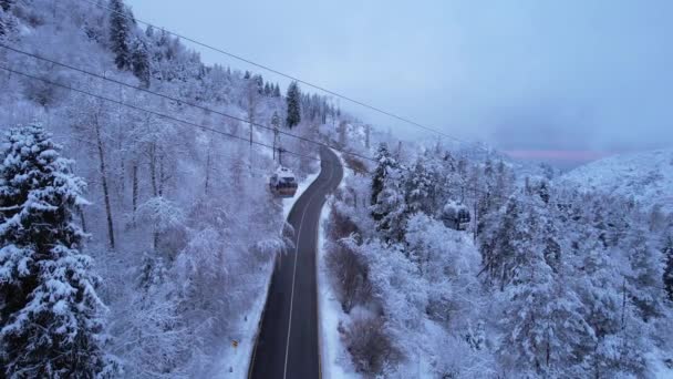Teleférico Nas Montanhas Floresta Inverno Cabines Movem Longo Estrada Gôndola — Vídeo de Stock