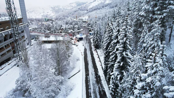 山の森の中で雪の妖精物語の道 クリスマスや新年がやってきました 雪の中で針葉樹の木 ある緑のバスは 人々が歩いている 光の霧 ドローンからの眺め メディア アルマトイ — ストック写真