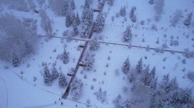 Bulutlarda kozalaklı ağaçlarla kaplı karlı dağlar. Medeo Barajı. Her şey sis ve karda. Noel ve yeni yıl geldi. Yoldaki, barajdaki ve ağaçlardaki insansız hava aracı görüntüsü. Almaty, Kazakistan